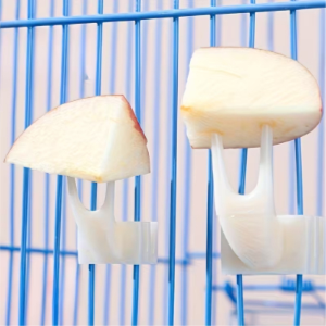 3pcs Pet Bird Cage Fruit Forks