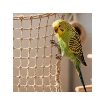 Bird Climbing Net