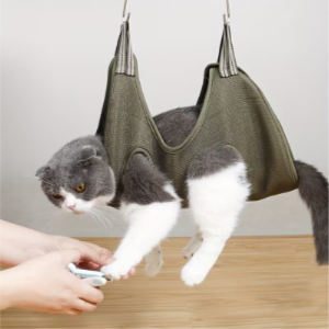Cats and Dogs Modify Cats and Dog Hammons