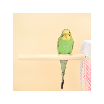 Natural Solid Wood Bird Perches, 1 Pcs 20cm