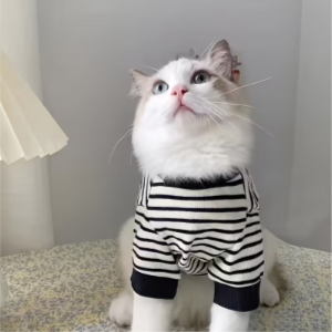 New Spring Pet Striped Vest, XL