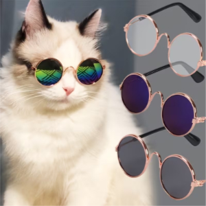 Pet Fashion Glasses 1Pc