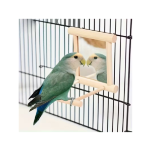 Wooden Bird Mirror Swing
