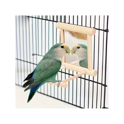 Wooden Bird Mirror Swing