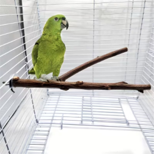Natural Wood Parrot Perch Stand 20 cm